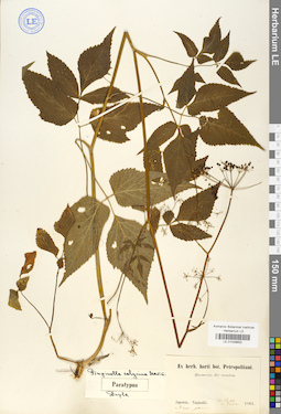 LE 01029652