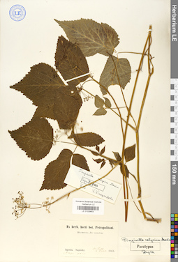 LE 01029653