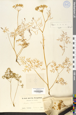 LE 01029687
