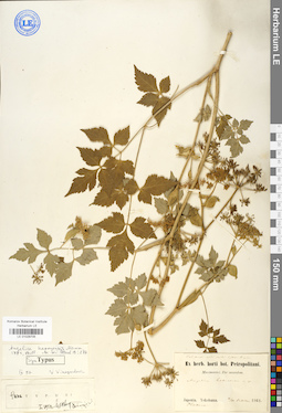LE 01029705