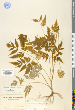 LE 01029708