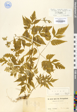 LE 01029710
