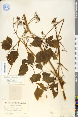 LE 01029714