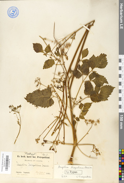 LE 01029719