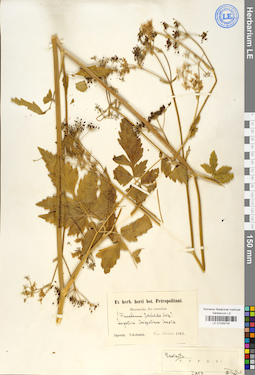 LE 01029724