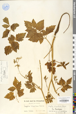 LE 01029728
