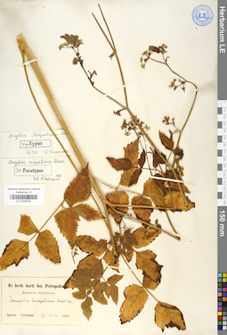 LE 01029730