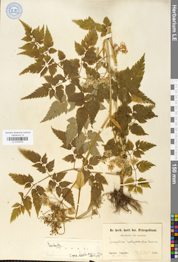 LE 01029750