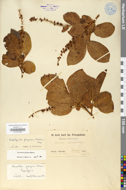 LE 01031859