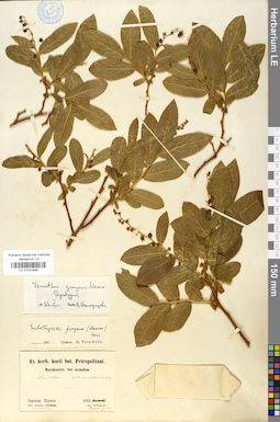 LE 01031869