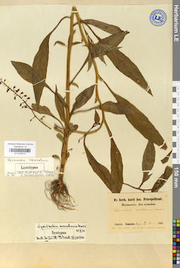 LE 01032213