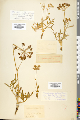 LE 01042618