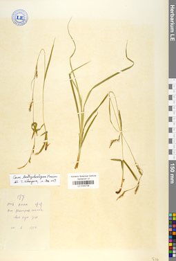 LE 01042728