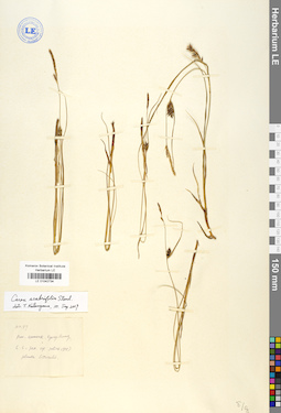 LE 01042734