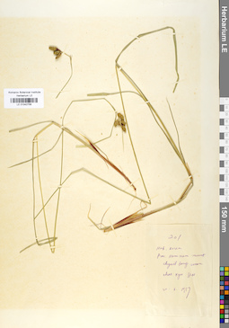 LE 01042756