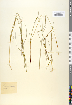 LE 01042762
