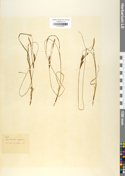 LE 01042767