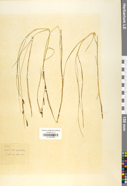 LE 01042769