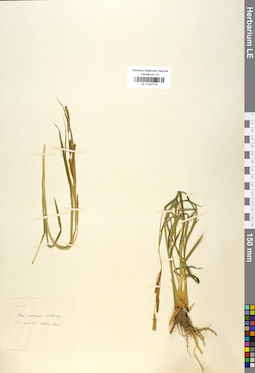 LE 01042774