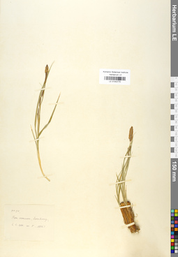 LE 01042775