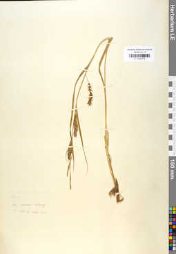 LE 01042776