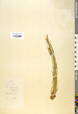 LE 01042777
