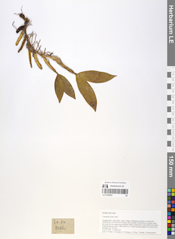 LE 01059507