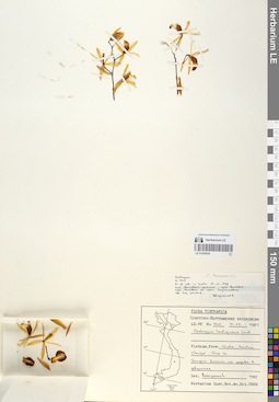 LE 01059530