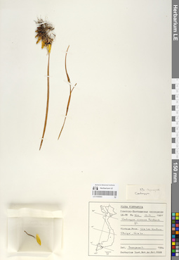 LE 01059583