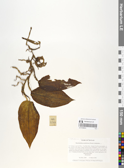 LE 01059610