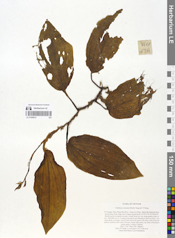 LE 01059614