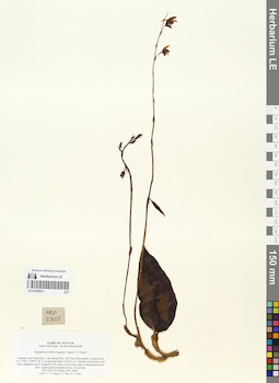 LE 01059631