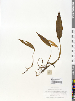 LE 01059636