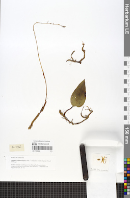 LE 01059640