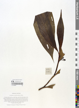 LE 01059654