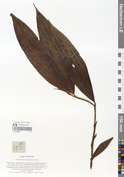 LE 01059667