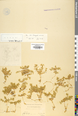 LE 01011762