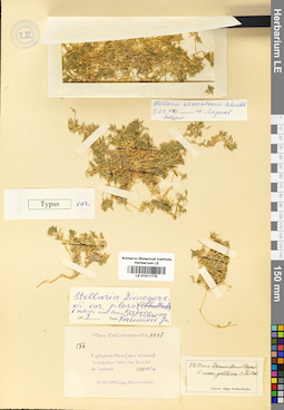 LE 01011770