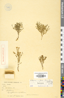 LE 01011771