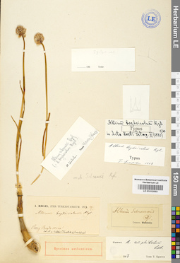 LE 01012533