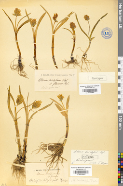 LE 01012613
