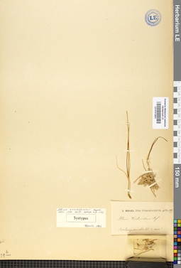 LE 01012621