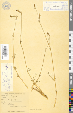 LE 01013474