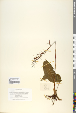 LE 01059683