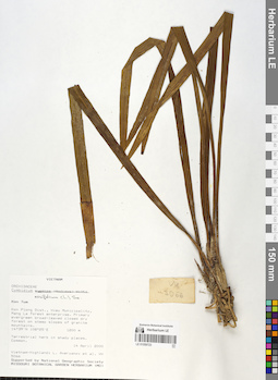 LE 01059723