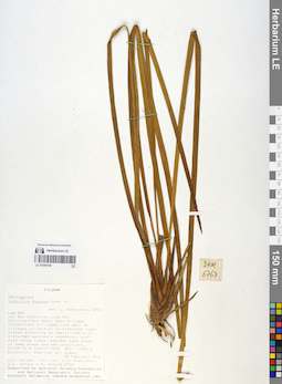 LE 01059728