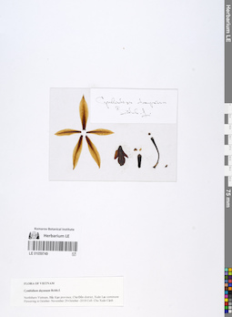 LE 01059749