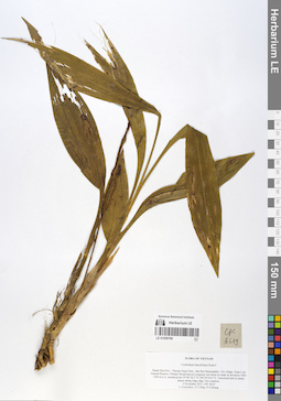 LE 01059780