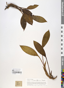 LE 01059784
