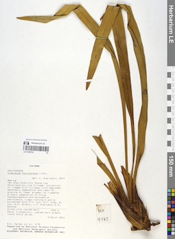 LE 01059795